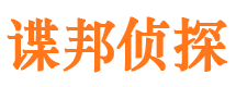 江阳市调查公司